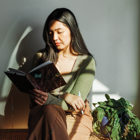 Foundations: A 4-Month Nervous System Repair Portal